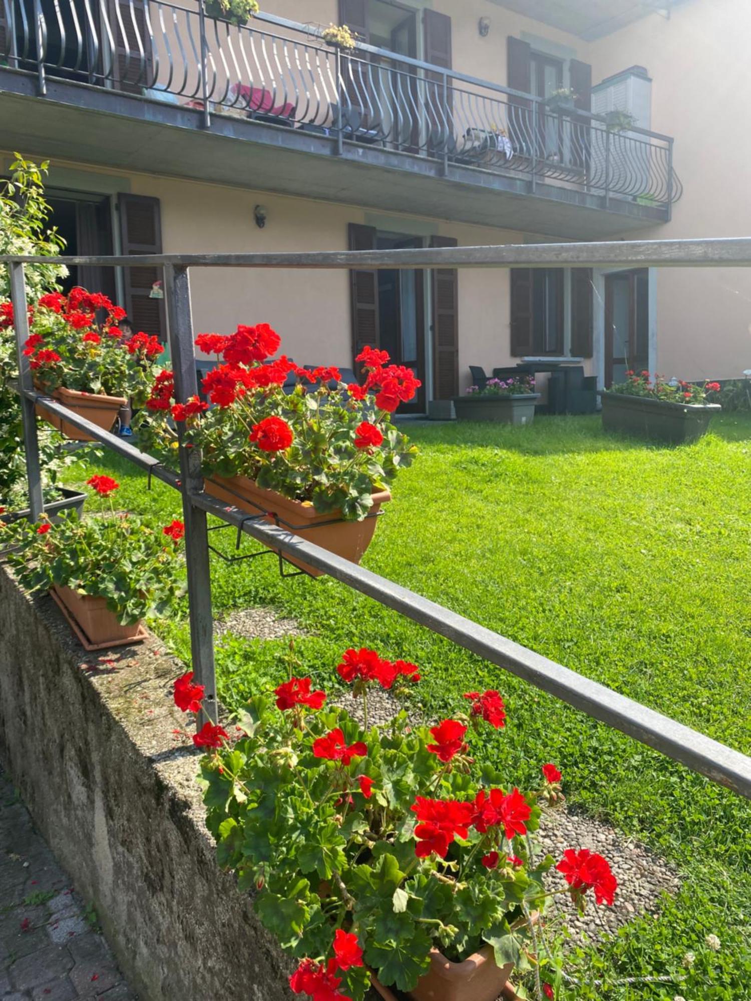 Peonia Apartment - Appartamento Vista Lago Lezzeno Exterior foto